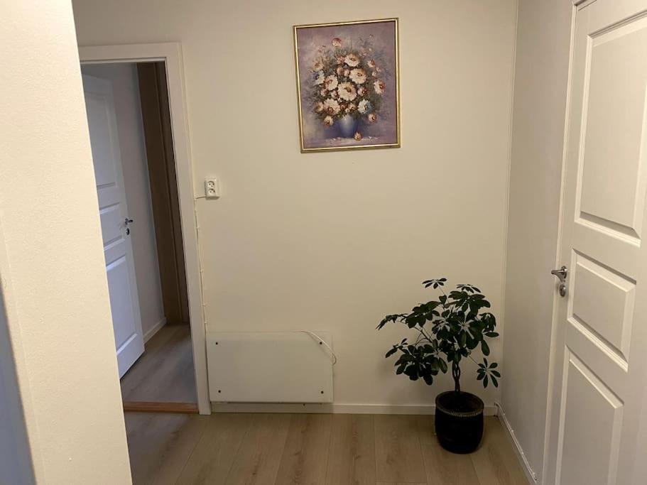Apartamento Lovely 2 Bedroom With Free Parking *